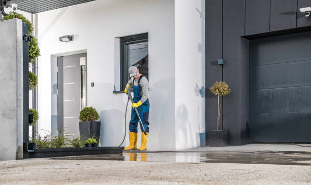 Best Sidewalk and Walkway Cleaning  in New Haven, IN
